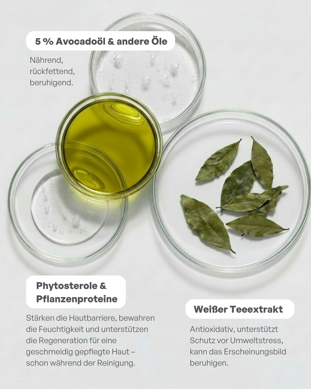 Avo Dream Cleansing Gel